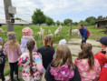 /album/navsteva-farmy/c6483d38-72da-4382-9901-3aae0c45e81d-jpg/